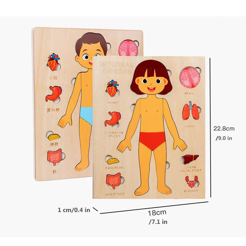 "Wooden Montessori Human Body Puzzle – Educational toy for kids"
"Non-toxic wooden Montessori puzzle – Fun and educational human body toy for kids"
"Interactive wooden human body puzzle – Montessori learning toy for children"
"Durable wooden Montessori puzzle – Human body educational toy for toddlers"
"Kids' wooden Montessori human body puzzle – Perfect educational toy for anatomy learning"