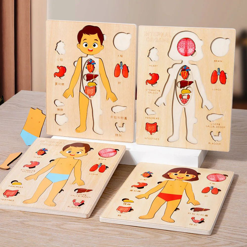 "Wooden Montessori Human Body Puzzle – Educational toy for kids"
"Non-toxic wooden Montessori puzzle – Fun and educational human body toy for kids"
"Interactive wooden human body puzzle – Montessori learning toy for children"
"Durable wooden Montessori puzzle – Human body educational toy for toddlers"
"Kids' wooden Montessori human body puzzle – Perfect educational toy for anatomy learning"