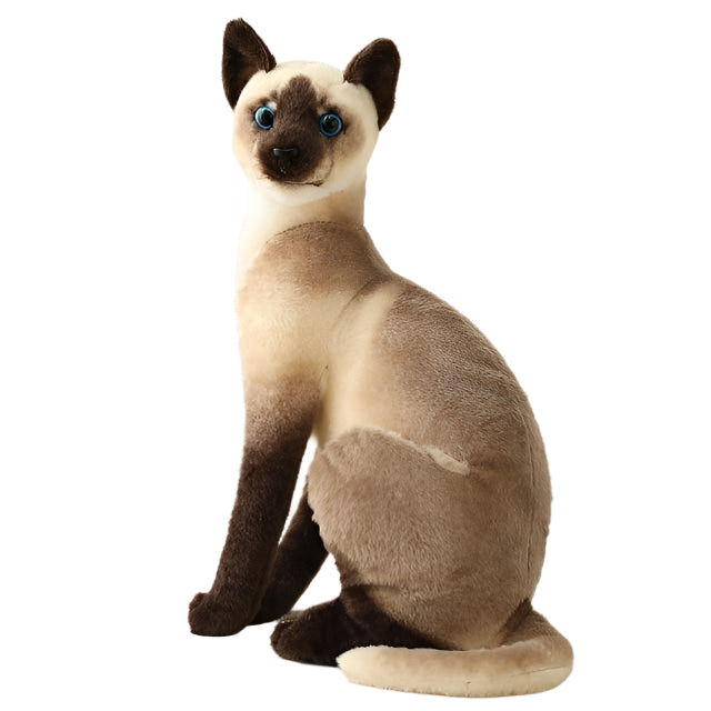 "Cat Plush Toy – Soft and adorable stuffed animal for kids"
"Cuddly cat plush toy – Cozy and huggable stuffed animal for children"
"Soft and gentle cat plush – Perfect comfort companion for toddlers"
"Non-toxic stuffed cat toy – Safe and snuggly plush animal for babies"
"Cute cat stuffed animal – Soft plush toy for playtime and bedtime"