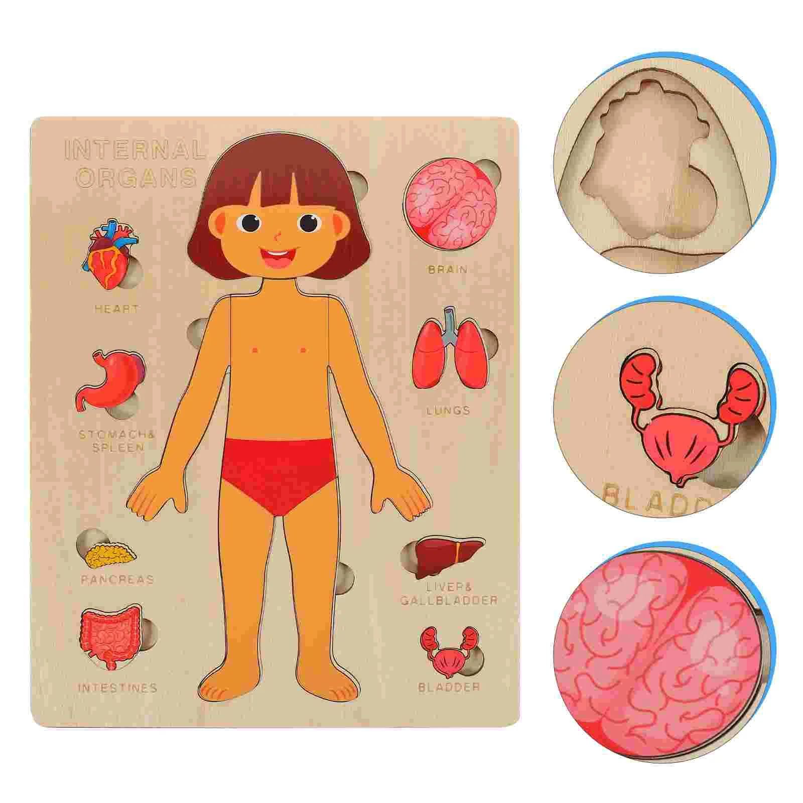 "Wooden Montessori Human Body Puzzle – Educational toy for kids"
"Non-toxic wooden Montessori puzzle – Fun and educational human body toy for kids"
"Interactive wooden human body puzzle – Montessori learning toy for children"
"Durable wooden Montessori puzzle – Human body educational toy for toddlers"
"Kids' wooden Montessori human body puzzle – Perfect educational toy for anatomy learning"