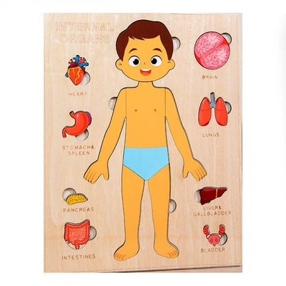 "Wooden Montessori Human Body Puzzle – Educational toy for kids"
"Non-toxic wooden Montessori puzzle – Fun and educational human body toy for kids"
"Interactive wooden human body puzzle – Montessori learning toy for children"
"Durable wooden Montessori puzzle – Human body educational toy for toddlers"
"Kids' wooden Montessori human body puzzle – Perfect educational toy for anatomy learning"