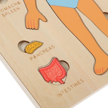 "Wooden Montessori Human Body Puzzle – Educational toy for kids"
"Non-toxic wooden Montessori puzzle – Fun and educational human body toy for kids"
"Interactive wooden human body puzzle – Montessori learning toy for children"
"Durable wooden Montessori puzzle – Human body educational toy for toddlers"
"Kids' wooden Montessori human body puzzle – Perfect educational toy for anatomy learning"