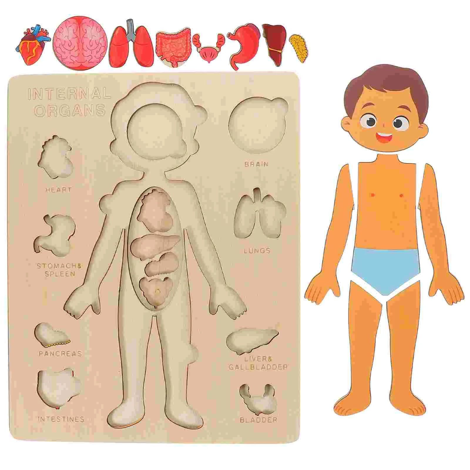 "Wooden Montessori Human Body Puzzle – Educational toy for kids"
"Non-toxic wooden Montessori puzzle – Fun and educational human body toy for kids"
"Interactive wooden human body puzzle – Montessori learning toy for children"
"Durable wooden Montessori puzzle – Human body educational toy for toddlers"
"Kids' wooden Montessori human body puzzle – Perfect educational toy for anatomy learning"